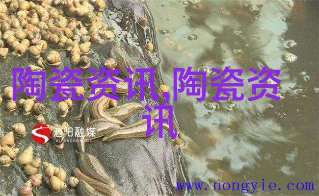 陶瓷博览交易中心设计方案汇报会召开