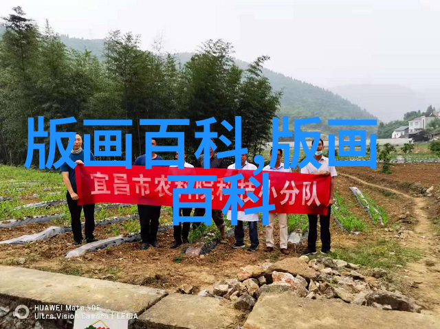 版画家具版画与家具完美结合