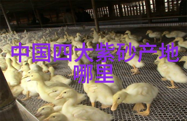茶杯表面茶垢饮入身体引起早衰
