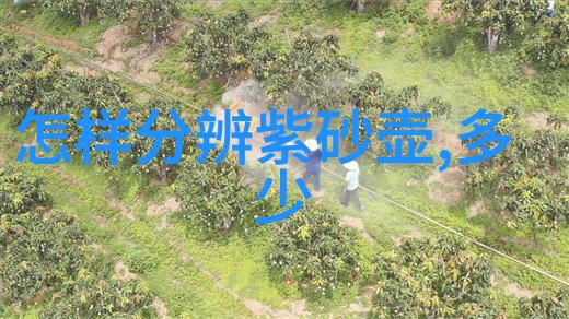 让紫砂壶尽显个性