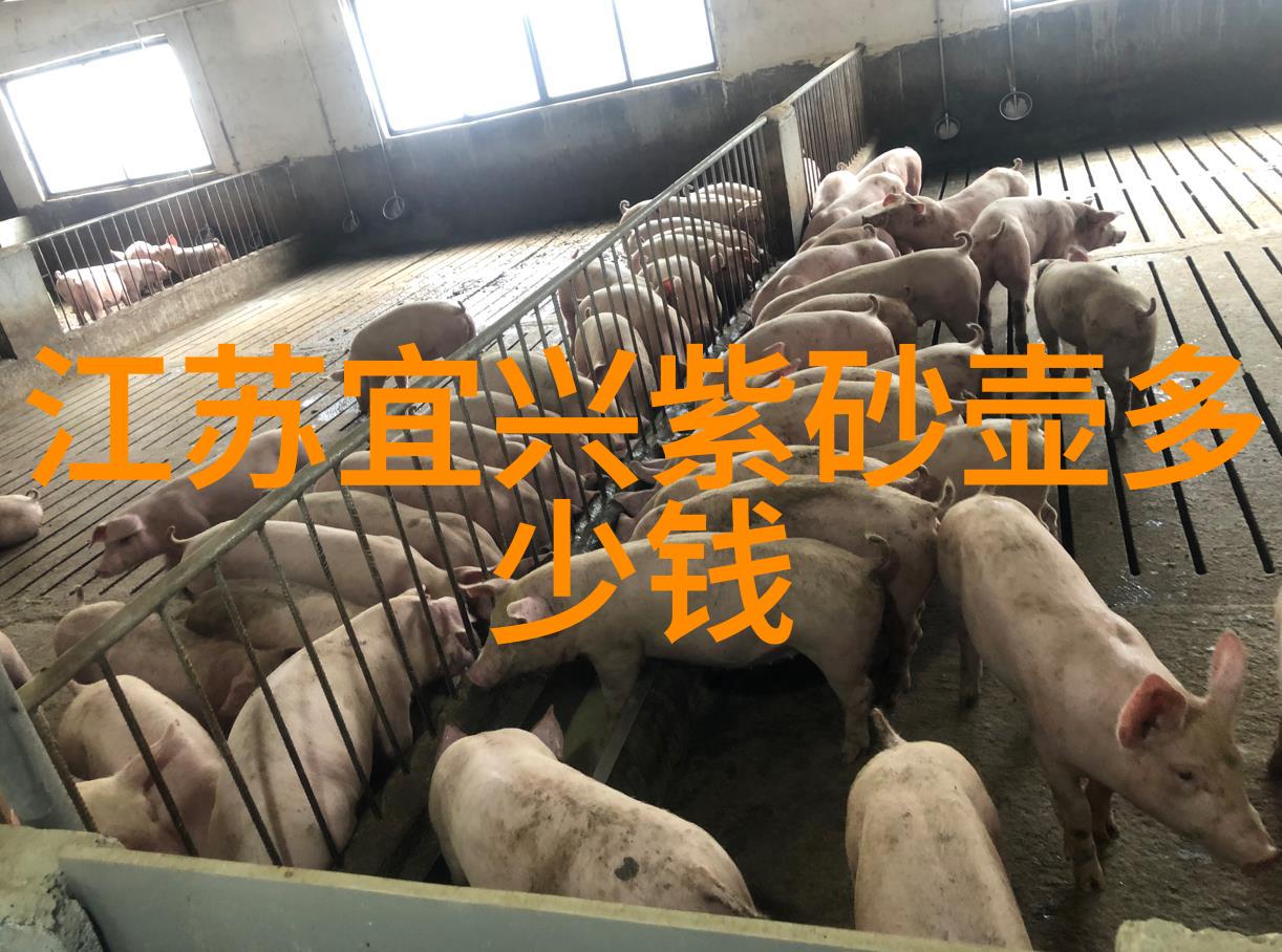 选壶技巧如何选把好壶